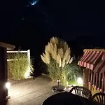 Duenengras Mit Terrasse Und Strandkorb *