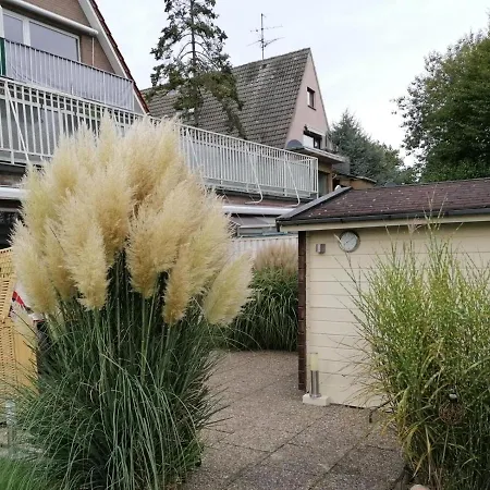 Duenengras Mit Terrasse Und Strandkorb *