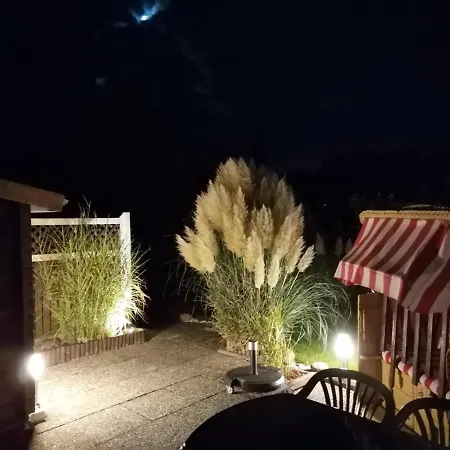Duenengras Mit Terrasse Und Strandkorb *