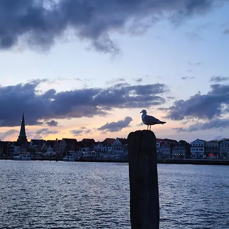 Dünengras Mit Terrasse Und Strandkorb Lübeck
