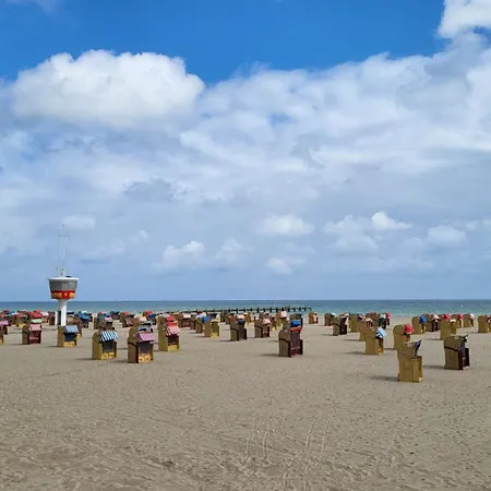 Dünengras Mit Terrasse Und Strandkorb Apartment Lübeck