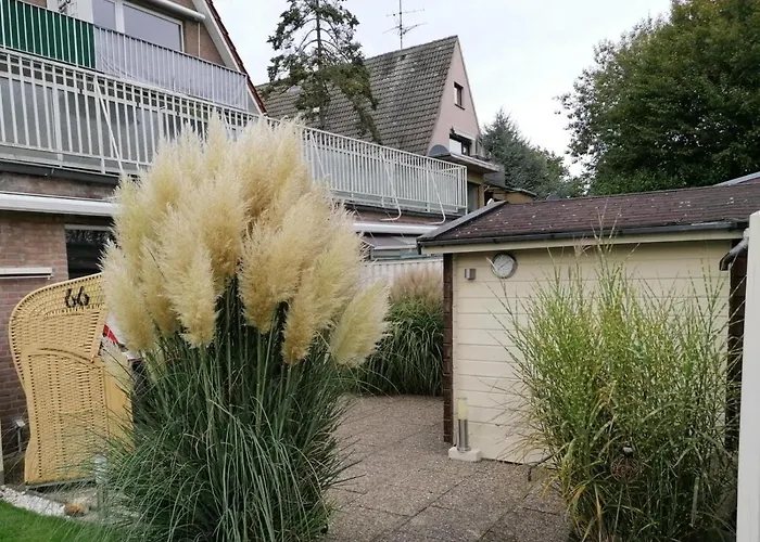 Duenengras Mit Terrasse Und Strandkorb *
