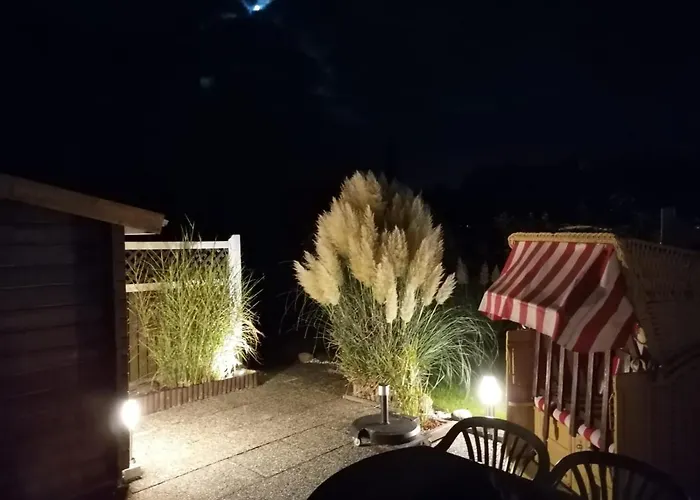 Duenengras Mit Terrasse Und Strandkorb *